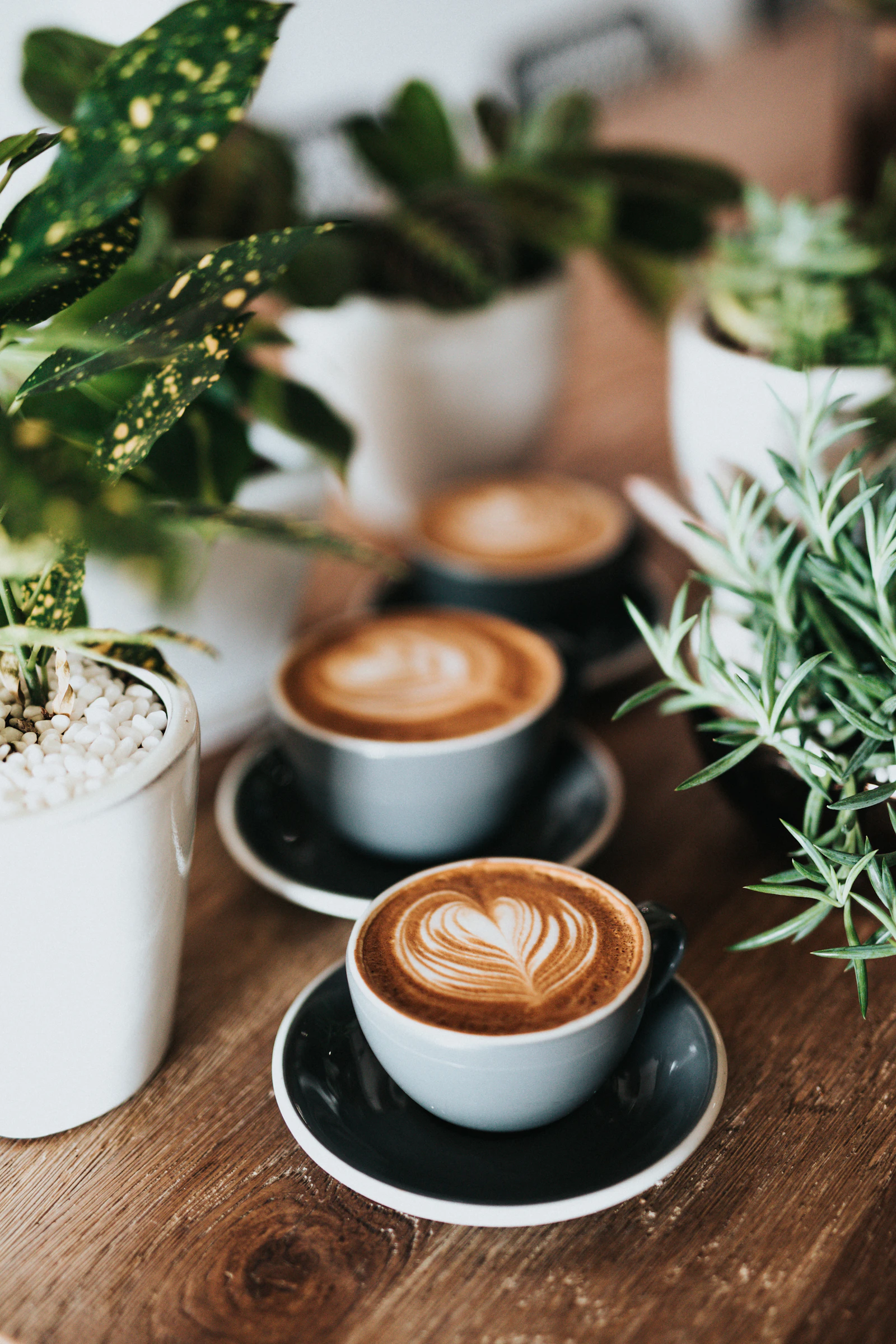Intérieur chaleureux d’un café moderne avec comptoir, tasses et lumière naturelle